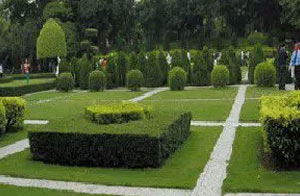 CJJ82-2012-園林綠化工程施工及驗收規范